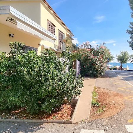 Room Fiore Novigrad  Exterior photo